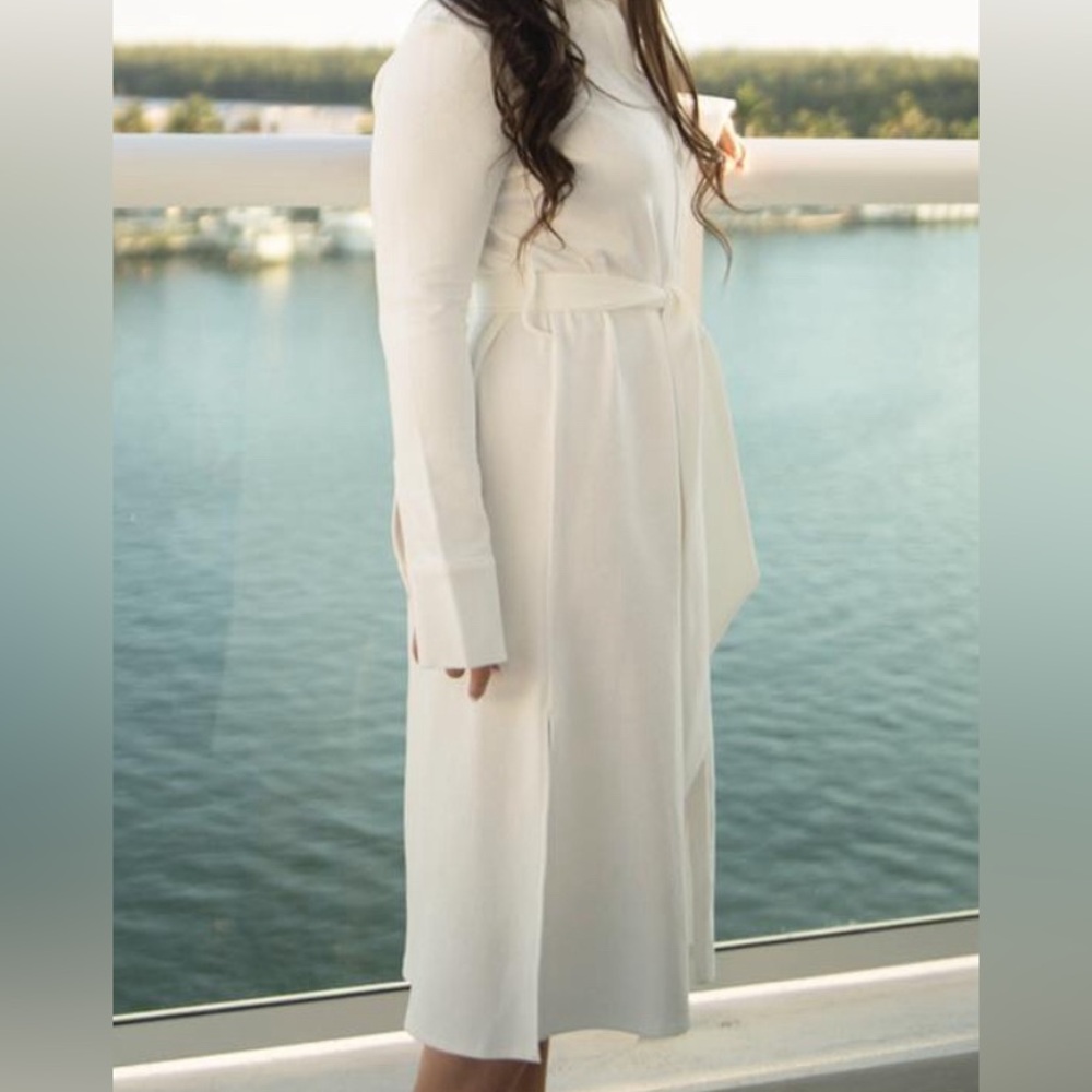 Beautiful Zara trench dress
